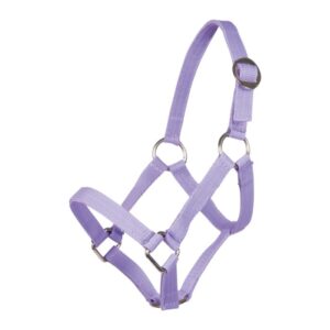 HKM päitsed Mini-Shetty