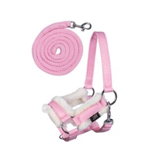 HKM kepphobuse päitsed+nöör  Hobby Horsing