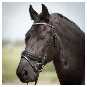 Harryś Horse valjad Diamond Lacque
