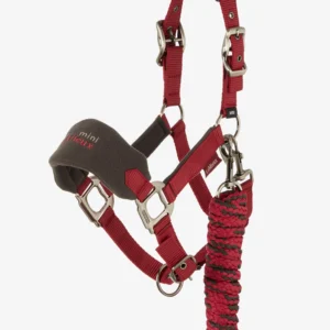 LeMieux Mini Vogue päitsed