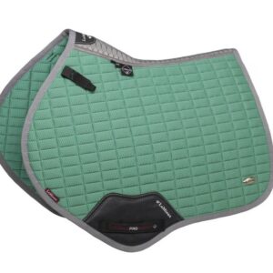 Lemieux Arctic valtrap