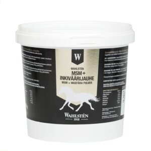 W-MSM + Ingver   700 g