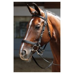 Harryś Horse valjad-päitsed