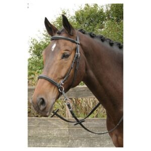 Harryś Horse valjad Bitless