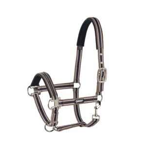 Eskadron päitsed  Pin Buckle