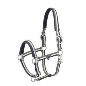 Eskadron päitsed Double pin