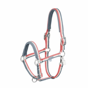 Eskadron päitsed Double pin  cob.