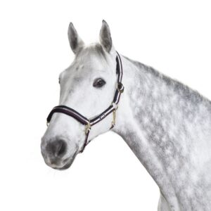 Eskadron päitsed  Sliding Bucle  Cob